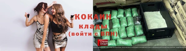 амф Алексин