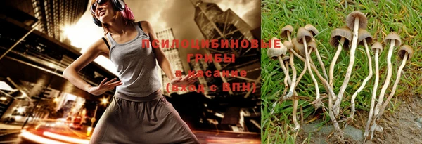 амф Алексин