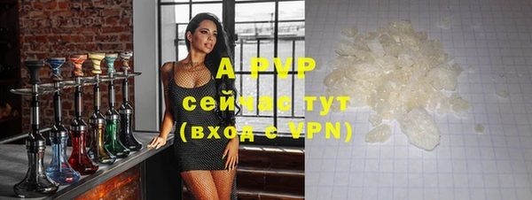 амф Алексин